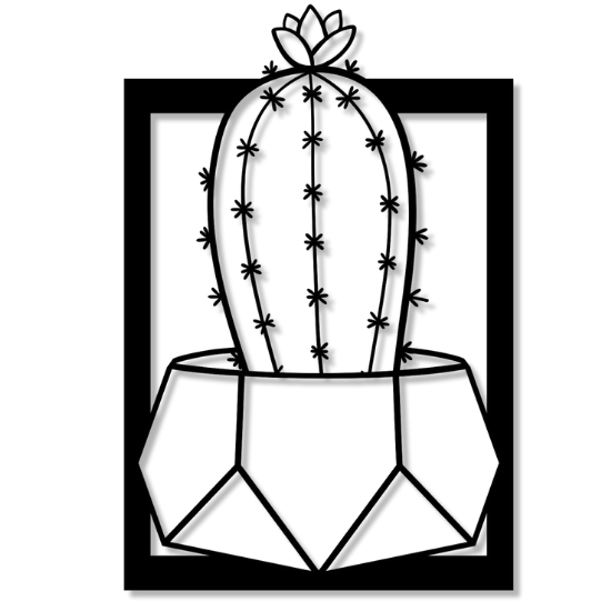 potted-cactus-thumb-1